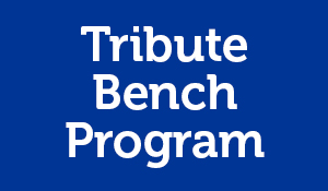 Tribute Bench Program